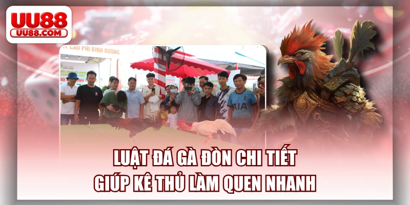 Luật Đá Gà Đòn Chi Tiết Giúp Kê Thủ Làm Quen Nhanh